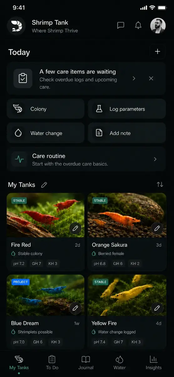 Shrimp Tank screenshot 3