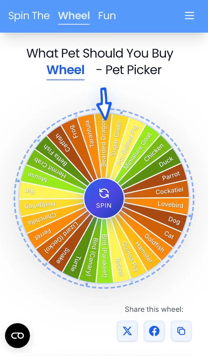 SpinTheWheelFun screenshot 2