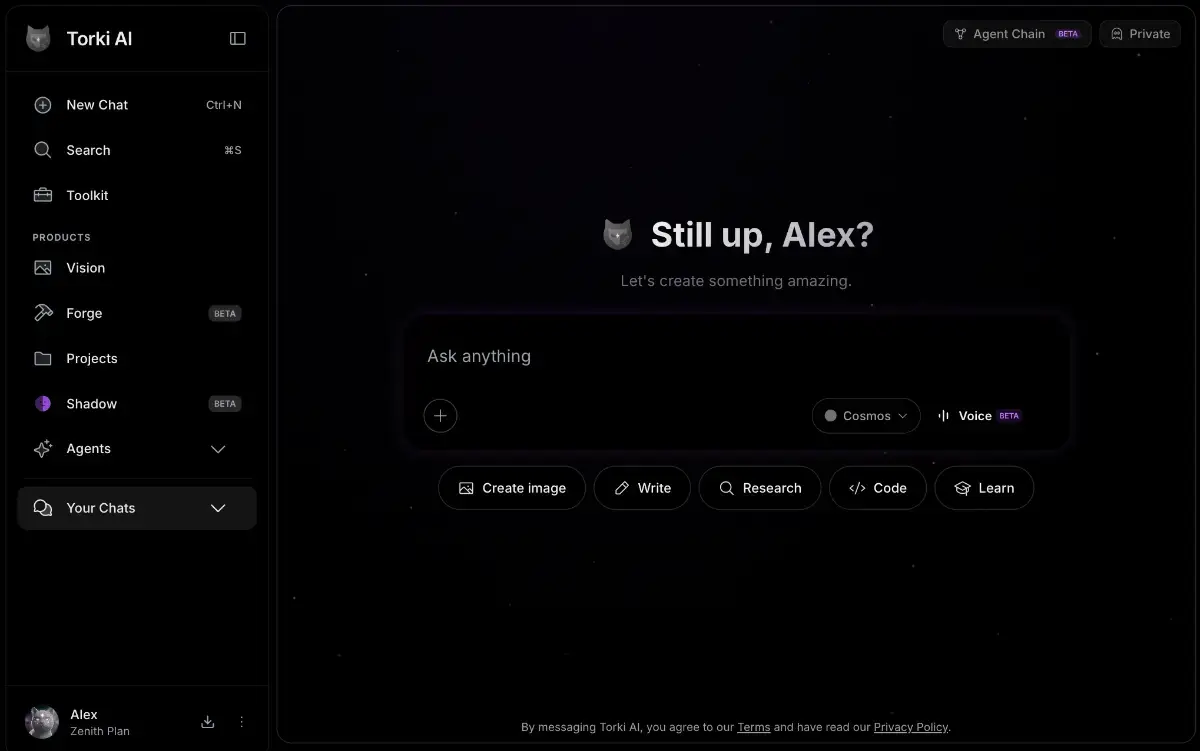 Torki AI screenshot 2