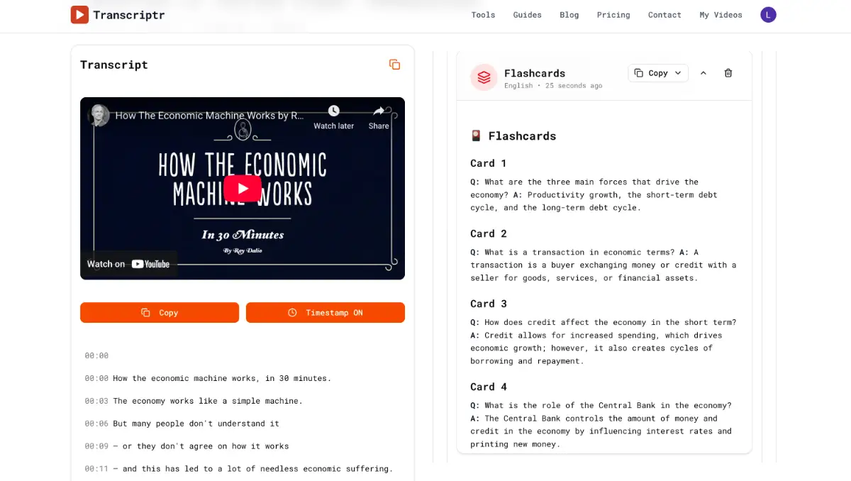 Transcriptor screenshot 2