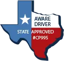 Online Texas Defensive Driving Course screenshot 1