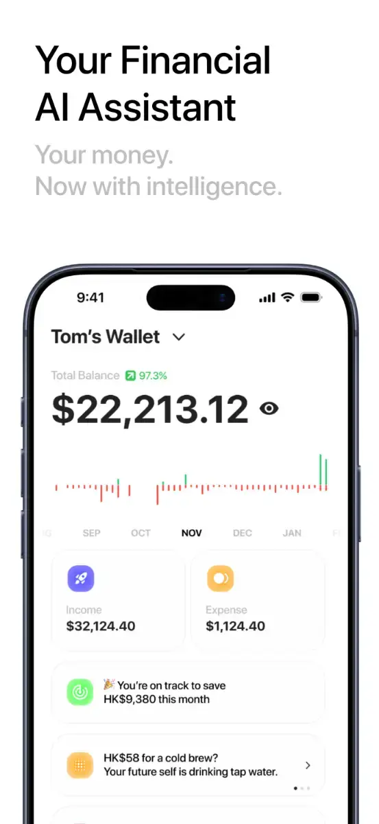 BudgetAI screenshot 1