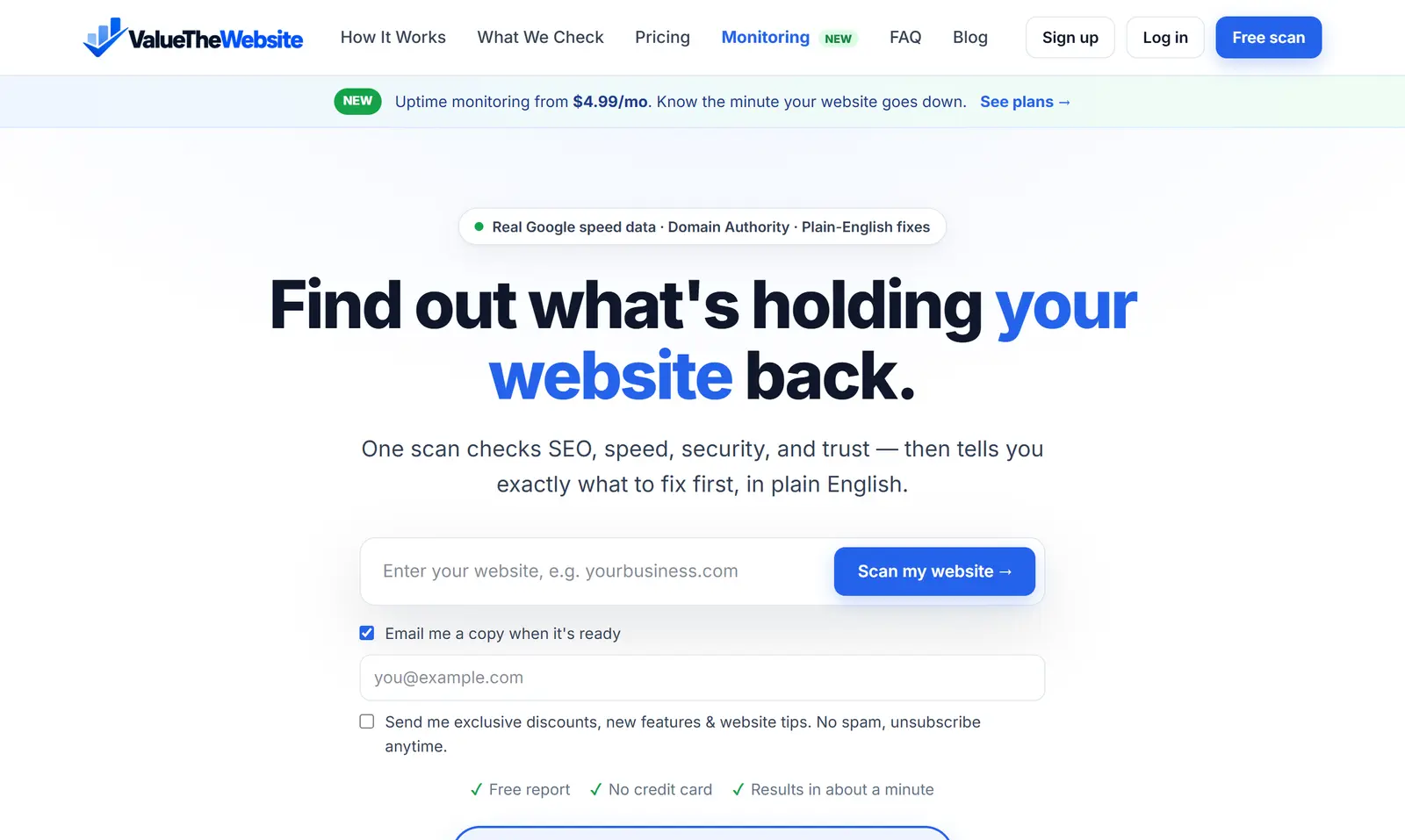 ValueTheWebsite screenshot 1
