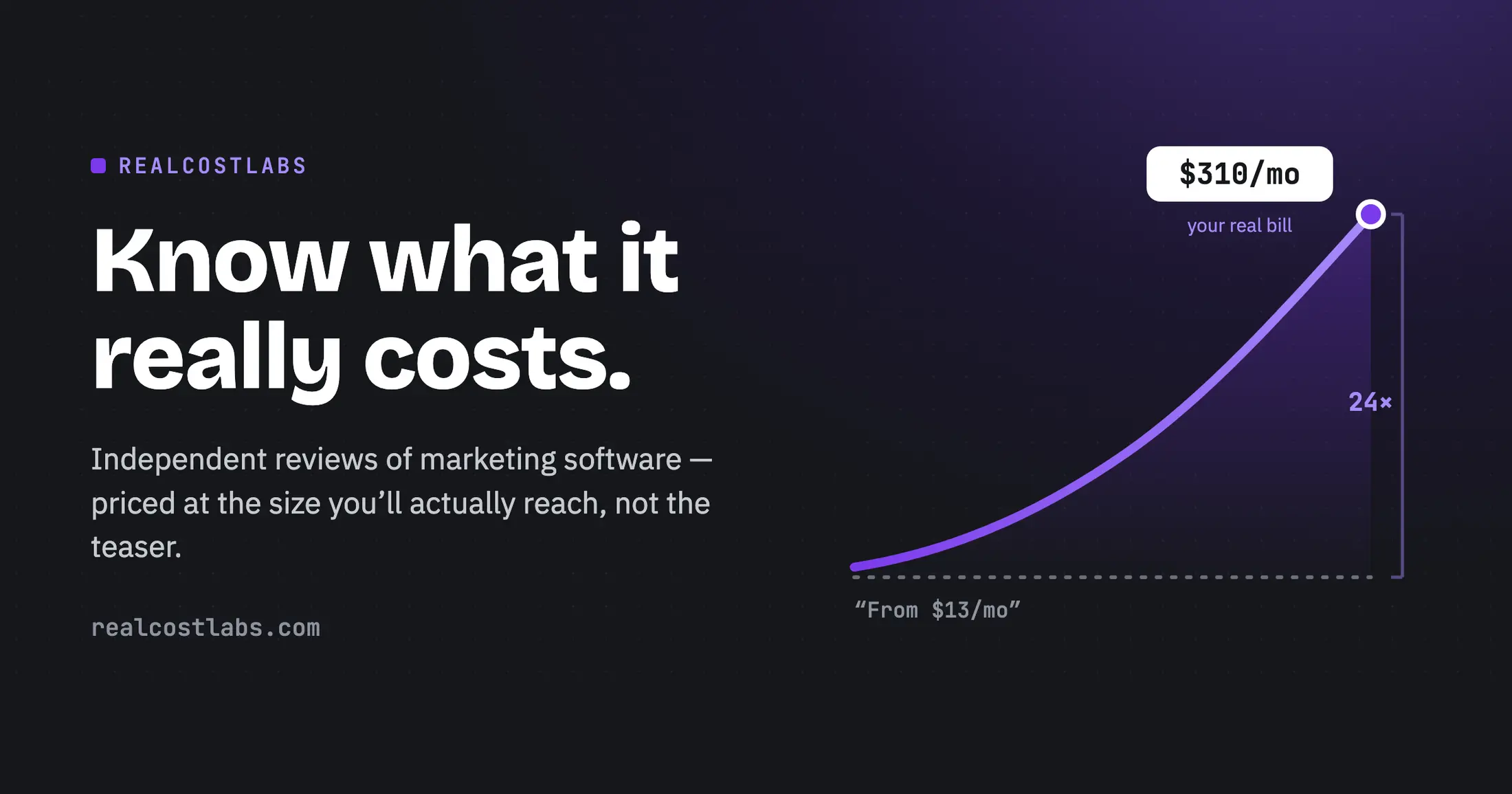 RealCostLabs product image