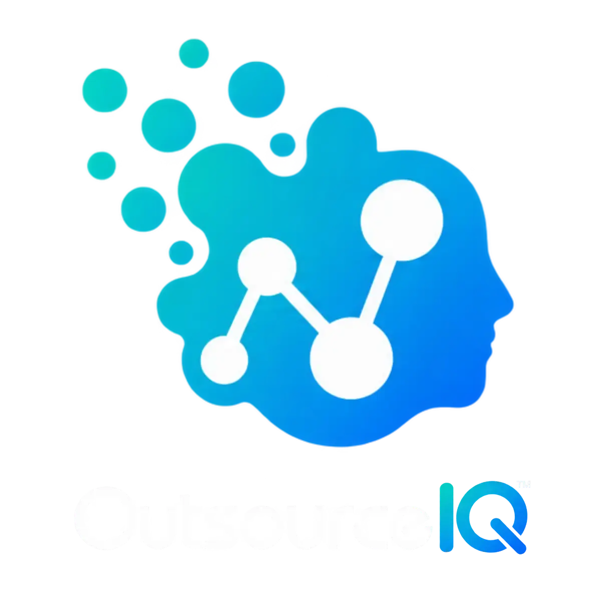 OutsourceIQ product image