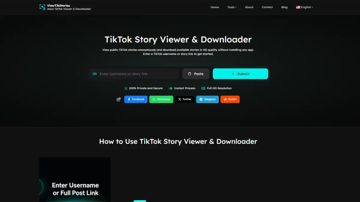 TikTok Story Viewer and Downloader product image
