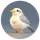 Logo of BabblerAI