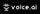 Logo of Voice.ai
