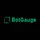 Logo of BotGauge