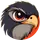 Logo of DataHawk