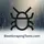 Logo of Best Scraping Tools - Directory
