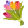 Logo of abcFlora Flowers Worldwide