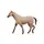 Logo of Horse Browser