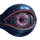 Logo of Stealth Analytics