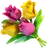 Logo of Flowershow