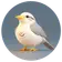 Logo of BabblerAI