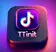 Logo of TTinit