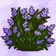 Logo of Nature Unlock: touch grass