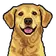 Logo of TabDog