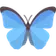 Logo of Bluesky Copilot