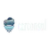 Logo of CarConsul