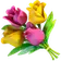 Logo of Flowershow