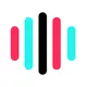 Logo of TikTok Voice