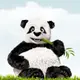 Logo of TinyPNG Chrome Extension