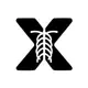 Logo of X-ray Interpreter