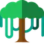 Logo of Canopy API