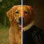 Logo of Luks - AI Pet Portraits