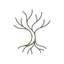 Logo of Roots - Daily Philosophy
